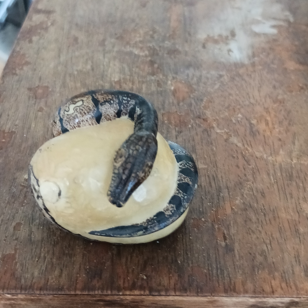 Snake vegetable ivory, tagua, made in Panama 1997